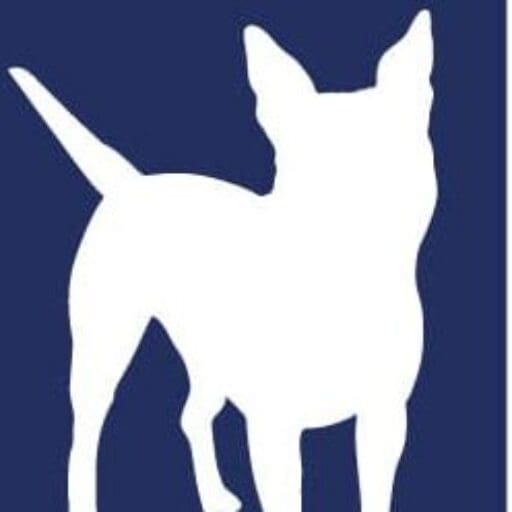 dog-owners-illegal-dog-breeds-regulation-of-dog-rescue
